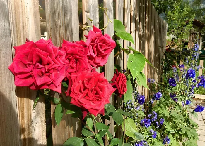 Haus Mariandl 3* Nesselwängle